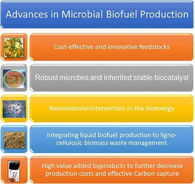 Editorial: Advances in Microbial <mark class="highlighted">Biofuel Production</mark>